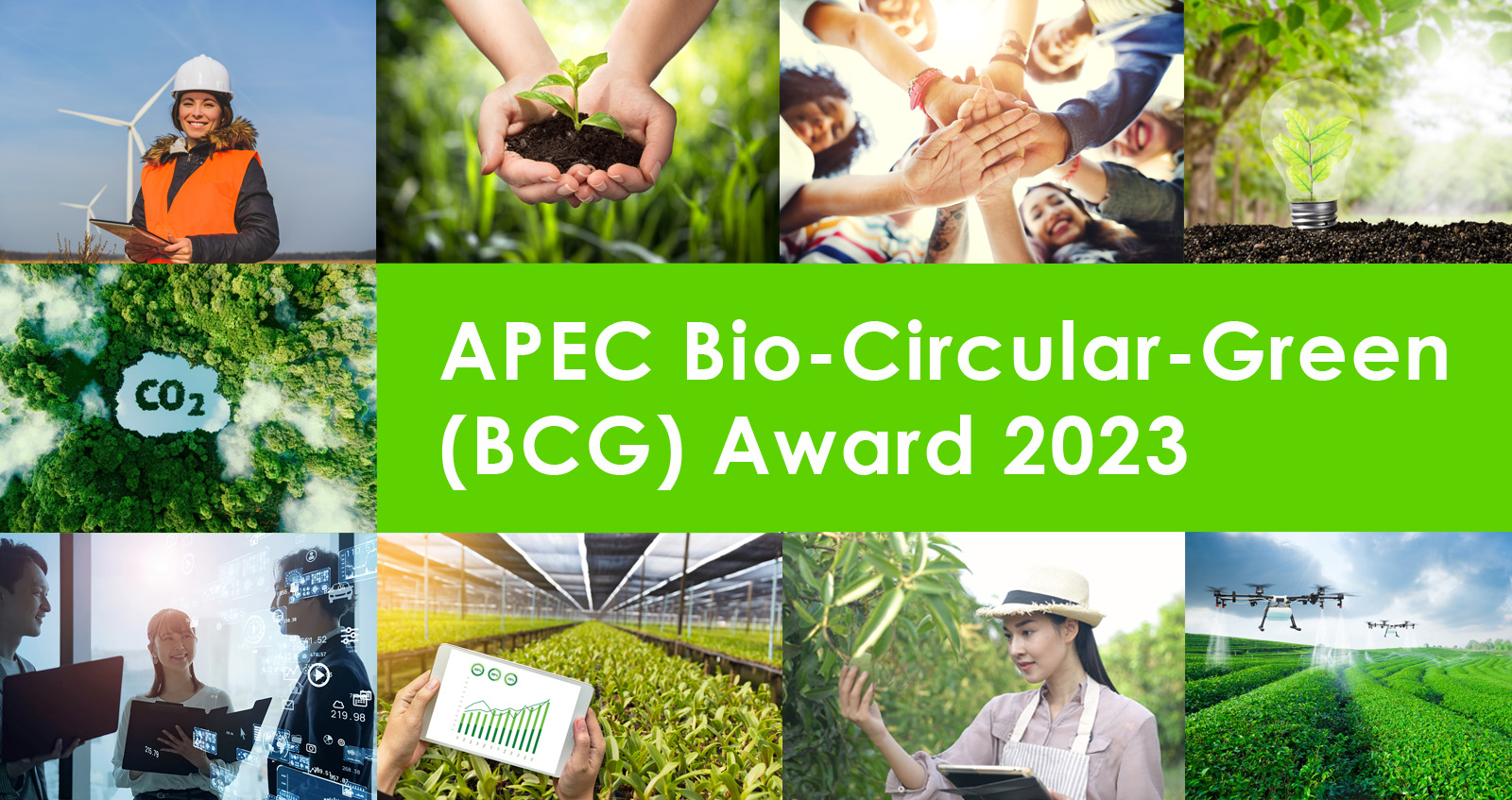 BCG-Awards-main-banner